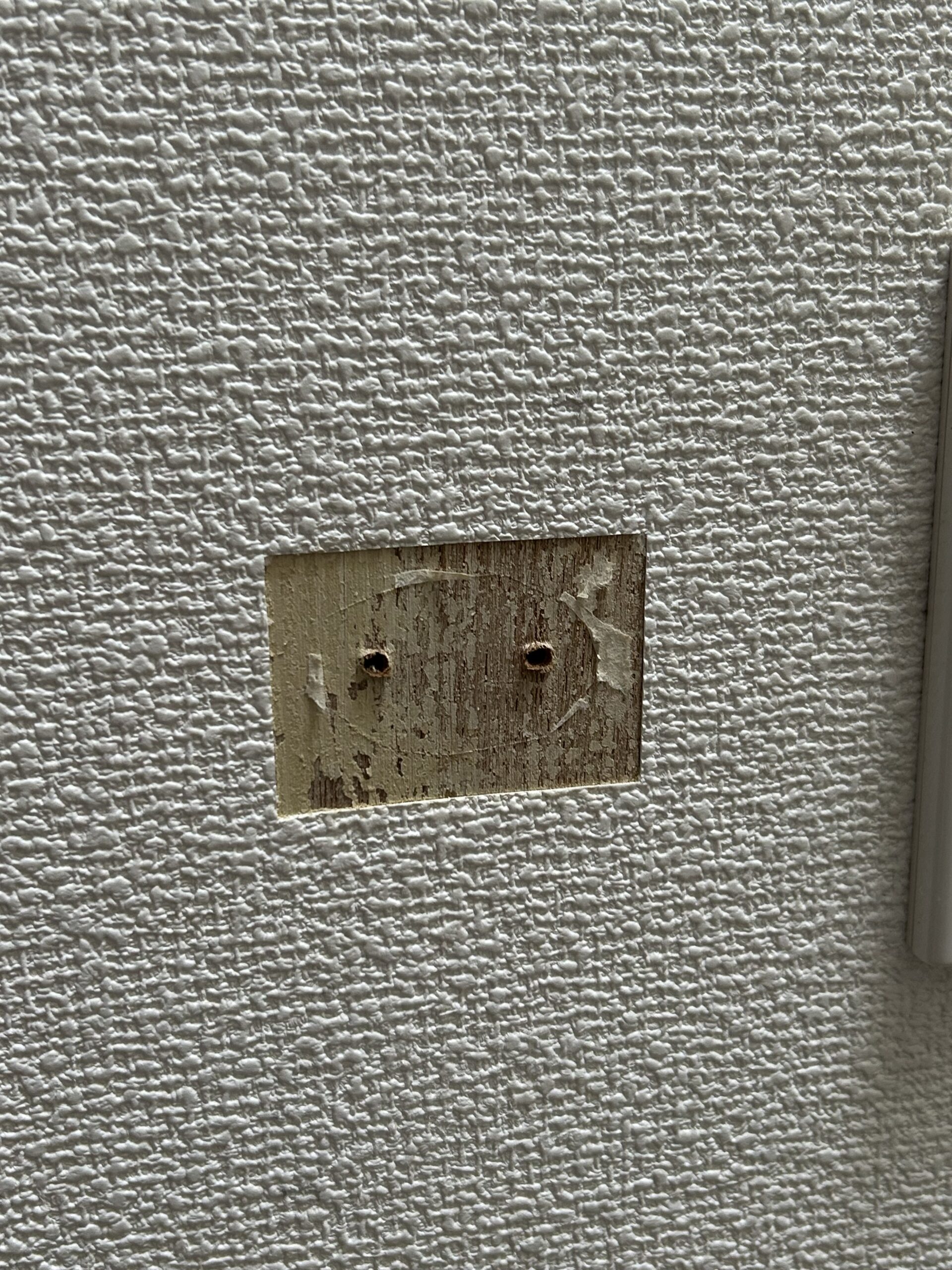 切り取り完了